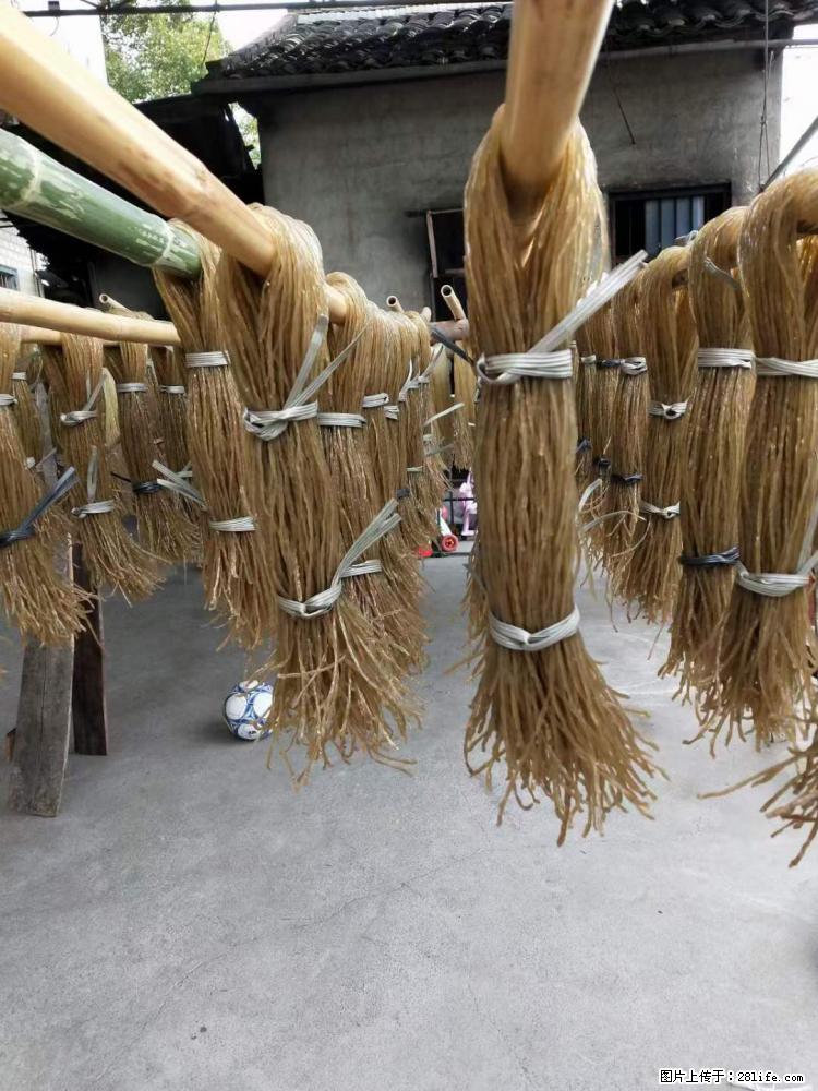 【灌阳正宗红薯粉】美女家里自己做的，干净卫生，假一赔十，价格合理，抢购电话：13737312895 - 美食天地 - 宁德生活社区 - 宁德28生活网 nd.28life.net