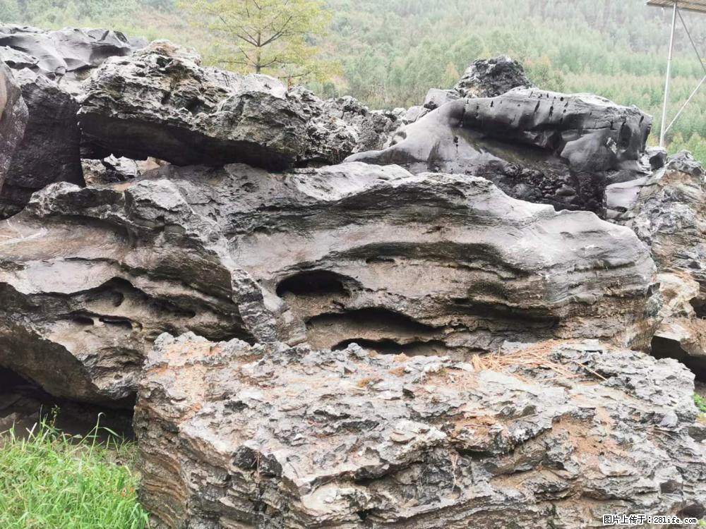 风景石、假山石大量有货，有需要的欢迎联系 - 新手上路 - 宁德生活社区 - 宁德28生活网 nd.28life.net