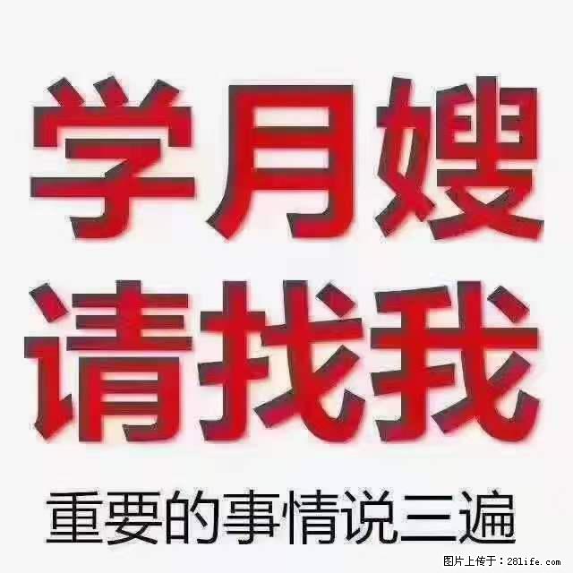 为什么要学习月嫂，育婴师？ - 其他广告 - 广告专区 - 宁德分类信息 - 宁德28生活网 nd.28life.net