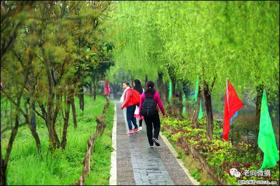 【春天，广西桂林灌阳县向您发出邀请！】江口老街又逢春 - 游山玩水 - 宁德生活社区 - 宁德28生活网 nd.28life.net