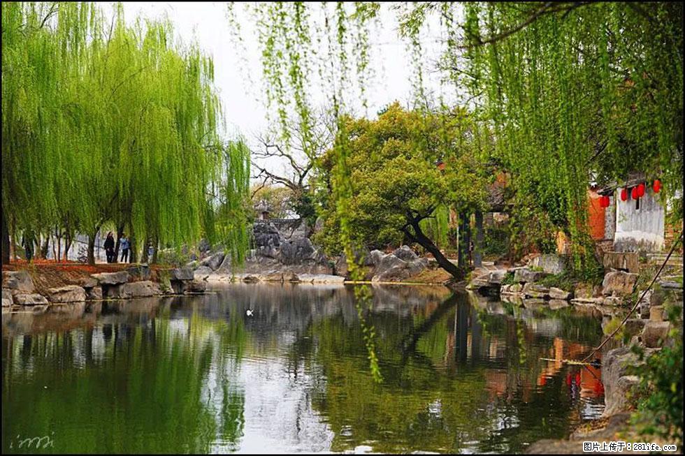 【春天，广西桂林灌阳县向您发出邀请！】江口老街又逢春 - 游山玩水 - 宁德生活社区 - 宁德28生活网 nd.28life.net
