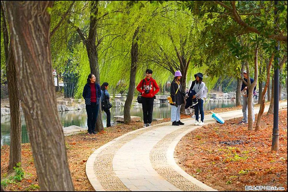 【春天，广西桂林灌阳县向您发出邀请！】江口老街又逢春 - 游山玩水 - 宁德生活社区 - 宁德28生活网 nd.28life.net