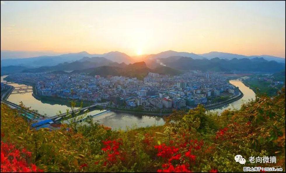 【春天，广西桂林灌阳县向您发出邀请！】登麒麟山，相约映山红 - 游山玩水 - 宁德生活社区 - 宁德28生活网 nd.28life.net