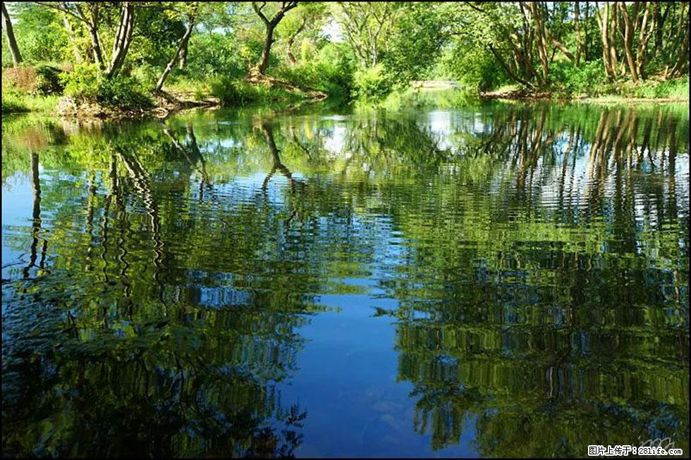 【春天，广西桂林灌阳县向您发出邀请！】熊家寨湿地公园 - 游山玩水 - 宁德生活社区 - 宁德28生活网 nd.28life.net