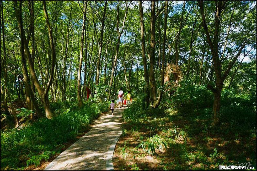 【春天，广西桂林灌阳县向您发出邀请！】熊家寨湿地公园 - 游山玩水 - 宁德生活社区 - 宁德28生活网 nd.28life.net