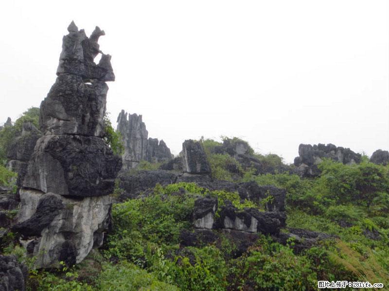 桂林旅游名城景点：灌阳文市石林 - 游山玩水 - 宁德生活社区 - 宁德28生活网 nd.28life.net