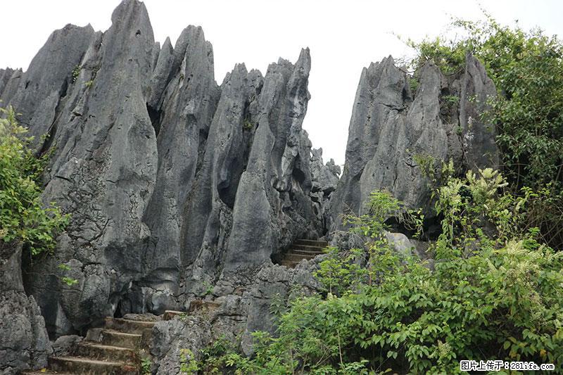桂林旅游名城景点：灌阳文市石林 - 游山玩水 - 宁德生活社区 - 宁德28生活网 nd.28life.net
