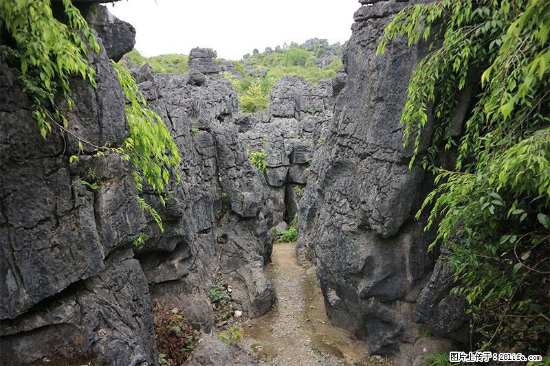 桂林旅游名城景点：灌阳文市石林 - 游山玩水 - 宁德生活社区 - 宁德28生活网 nd.28life.net