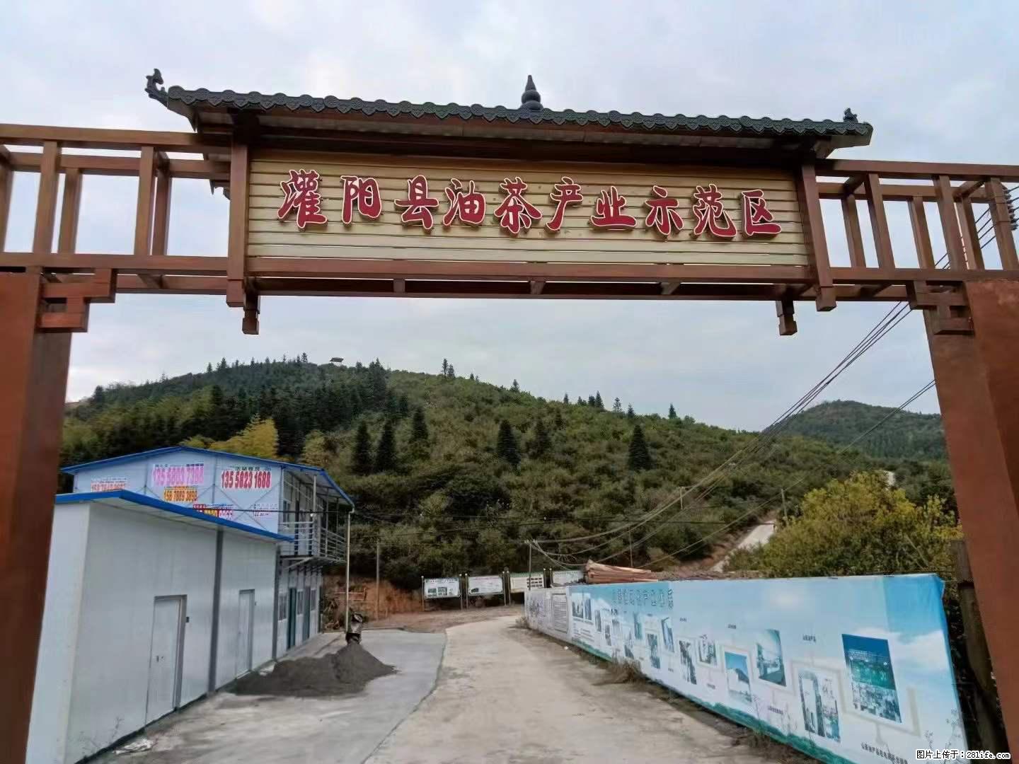 【灌阳县油茶产业示范区】一个有着充实的精神生活的人，对待身外之物自会有一种淡泊的态度 - 土特产 - 饮食特产 - 宁德分类信息 - 宁德28生活网 nd.28life.net