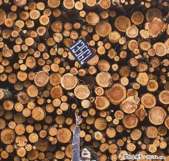 辞掉工作周游世界？现在他们在洗厕所…… - 游山玩水 - 宁德生活社区 - 宁德28生活网 nd.28life.net
