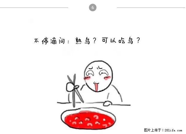 千万不要和这9种哈卵一起吃火锅！ - 美食天地 - 宁德生活社区 - 宁德28生活网 nd.28life.net