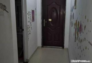 十中人民医院附近蕉北市场旁嘉兴大厦小区电梯1室1卫1阳出租 - 宁德28生活网 nd.28life.net