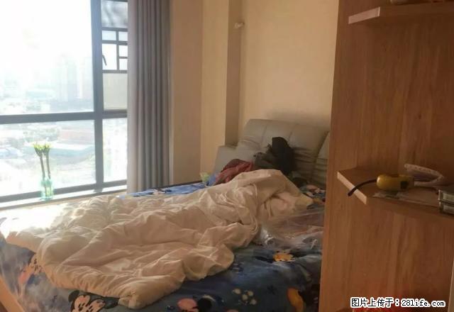 市中心 泰禾红树林复试楼精装修 全品牌设备 三面采光 - 房屋出租 - 房屋租售 - 宁德分类信息 - 宁德28生活网 nd.28life.net