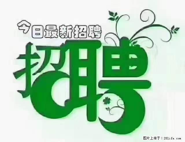 【招聘摄像师】待遇：试用期6000元/月，转正7000元/月+五险一金+餐补+节日福利+奖金 - 职场交流 - 宁德生活社区 - 宁德28生活网 nd.28life.net