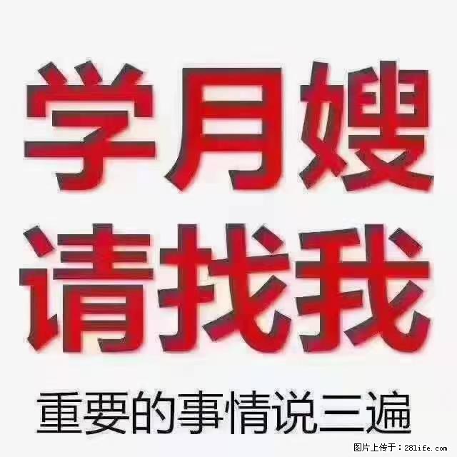 【招聘】月嫂，上海徐汇区 - 职场交流 - 宁德生活社区 - 宁德28生活网 nd.28life.net
