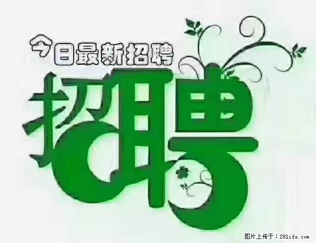 上海隔离酒店招人：55岁以下 男女不限 - 职场交流 - 宁德生活社区 - 宁德28生活网 nd.28life.net