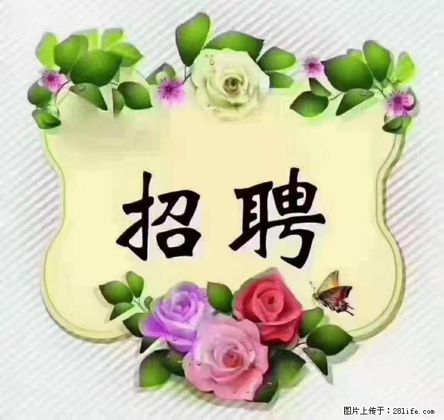【招聘】住家育儿嫂，上户日期：4月4日，工作地址：上海 黄浦区 - 职场交流 - 宁德生活社区 - 宁德28生活网 nd.28life.net