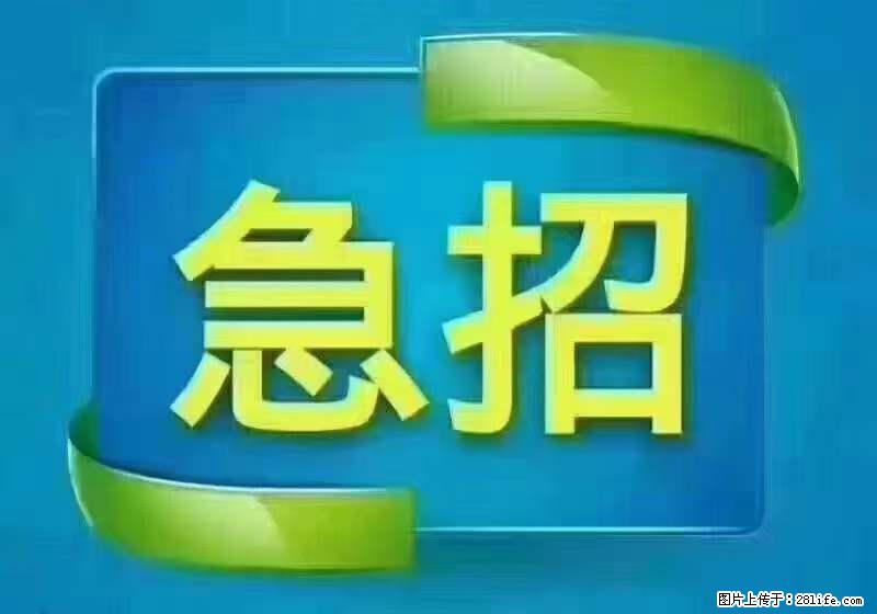 招财务，有会计证的，熟手会计1.1万底薪，上海五险一金，包住，包工作餐，做六休一 - 职场交流 - 宁德生活社区 - 宁德28生活网 nd.28life.net