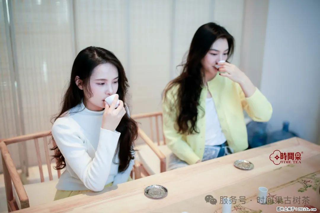 时间果百年古树龙珠普洱生茶 - 购物交流 - 宁德生活社区 - 宁德28生活网 nd.28life.net