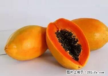 晕车、脚气、牙齿变黄、皮肤粗糙？学会这些三分钟搞定！ - 宁德生活资讯 - 宁德28生活网 nd.28life.net