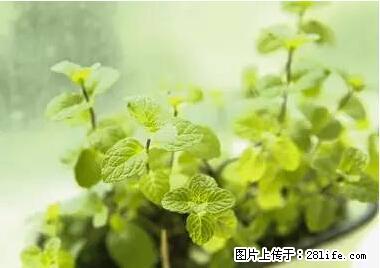 晕车、脚气、牙齿变黄、皮肤粗糙？学会这些三分钟搞定！ - 宁德生活资讯 - 宁德28生活网 nd.28life.net