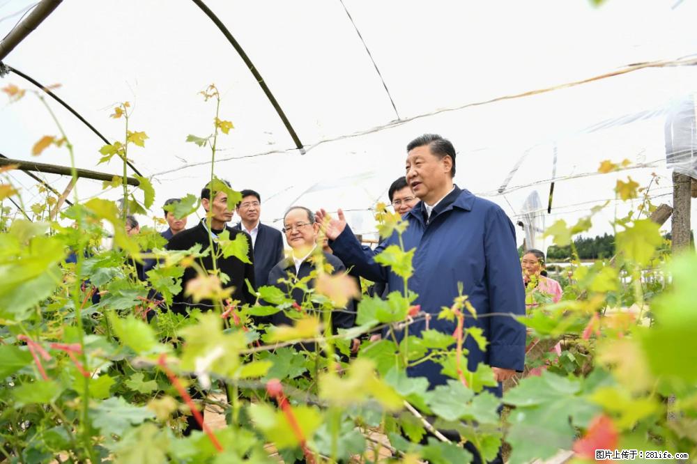 习近平赴广西考察调研 - 宁德生活资讯 - 宁德28生活网 nd.28life.net