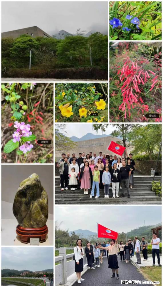 “粤灌文化 美好生活”油茶文化主题活动在广东深圳成功举办 - 宁德生活资讯 - 宁德28生活网 nd.28life.net
