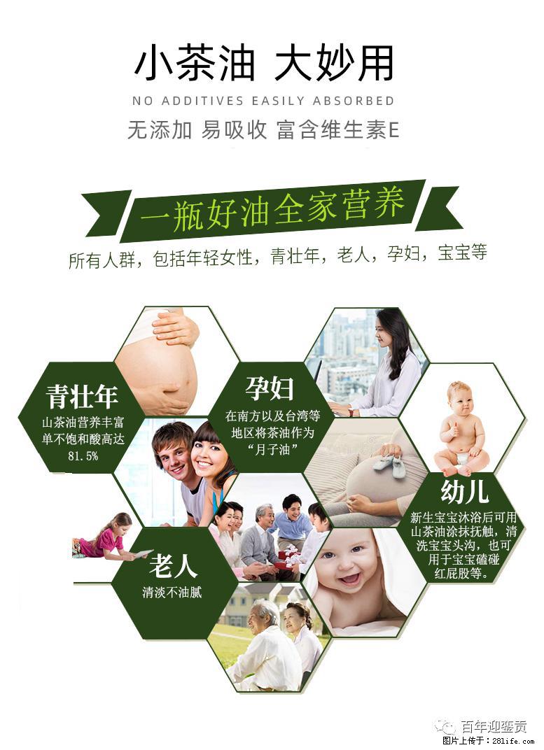 世界没有真相，只有认知，最好的食用油是中国的山茶油！ - 宁德生活资讯 - 宁德28生活网 nd.28life.net