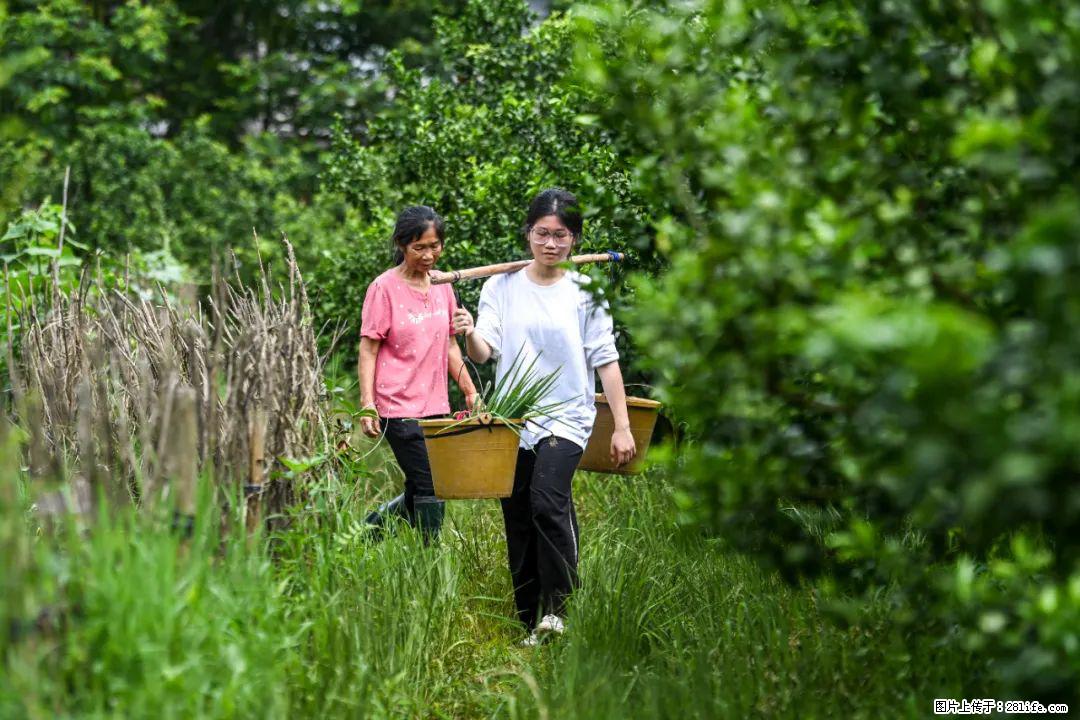 全网追的“扁担女孩”，找了一份暑假工，时薪12元 - 宁德生活资讯 - 宁德28生活网 nd.28life.net