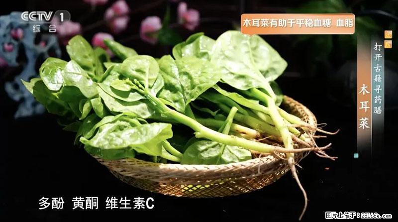 比牛奶补钙还厉害！凉血解毒、稳血糖...这菜冬天必吃，很多人却当草 - 宁德生活资讯 - 宁德28生活网 nd.28life.net