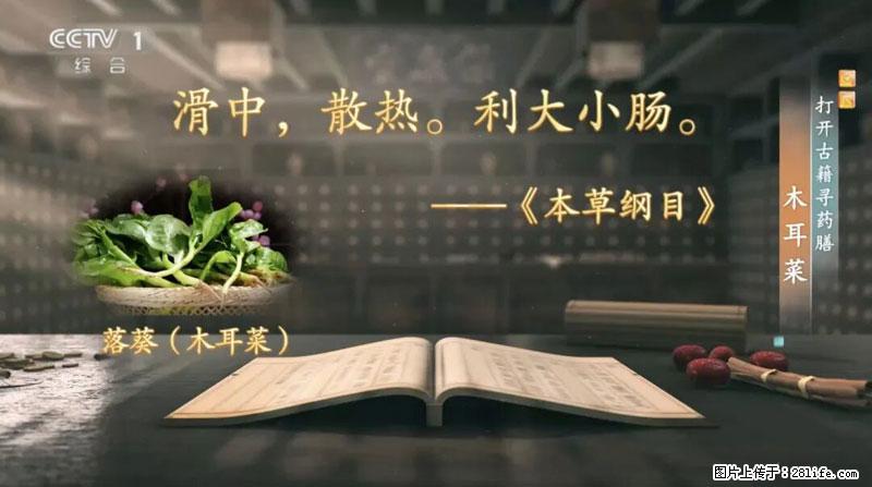 比牛奶补钙还厉害！凉血解毒、稳血糖...这菜冬天必吃，很多人却当草 - 宁德生活资讯 - 宁德28生活网 nd.28life.net