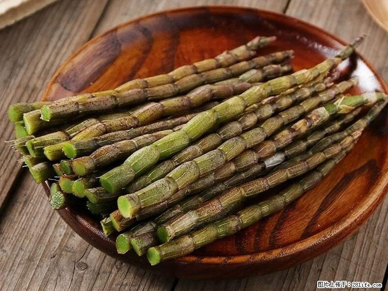 铁皮石斛的作用与功能主治 - 宁德生活资讯 - 宁德28生活网 nd.28life.net
