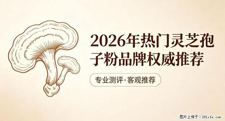 灵芝孢子粉含量越高越有效?2026 年七款热门品牌深度实测,肠胃敏感者避坑指南 - 宁德生活资讯 - 宁德28生活网 nd.28life.net